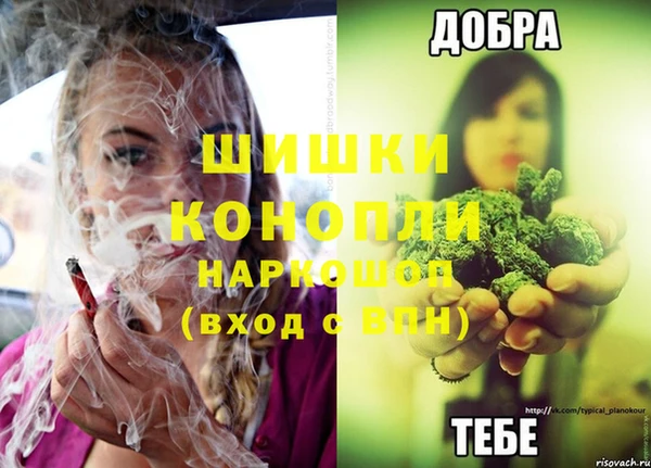 кокс Аркадак
