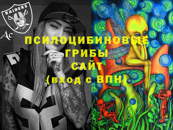 гашик Магас