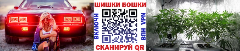 Конопля сатива  где можно купить   Сафоново 